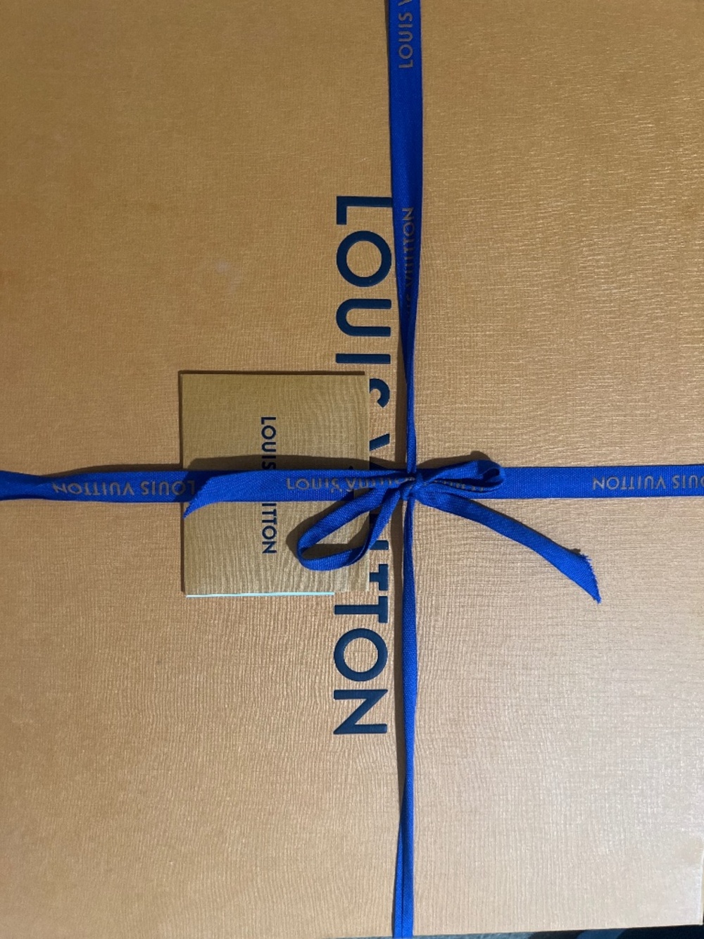 Louis Vuitton Slides